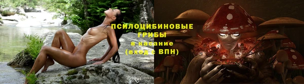 кокаин колумбия Алексин