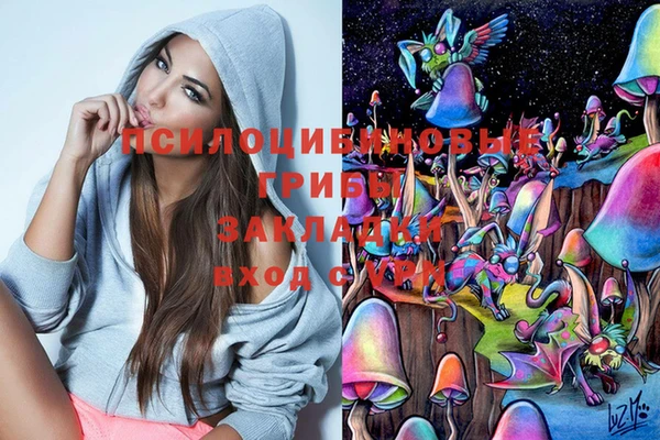 jwh Алзамай