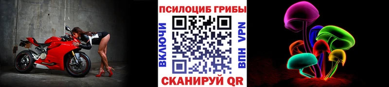 Галлюциногенные грибы Psilocybe  Амурск 