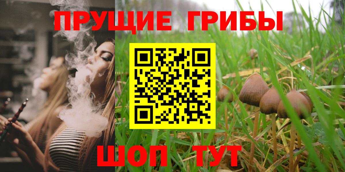 Псилоцибиновые грибы GOLDEN TEACHER Амурск